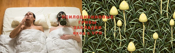 mdpv Лабытнанги